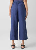 back view of Eileen Fisher organic linen plus size ankle pant in color bluette