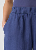 close up front view of Eileen Fisher organic linen plus size ankle pant in color bluette