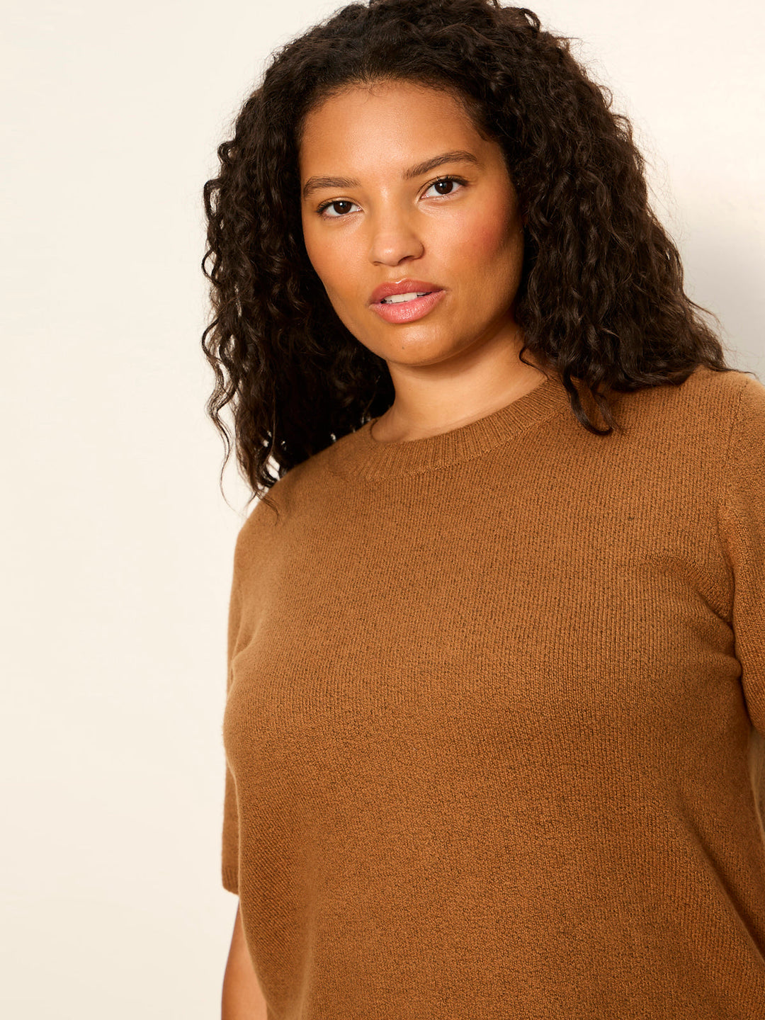Brown knit short-sleeve tee with ribbed jewel crew neck, neckline detail