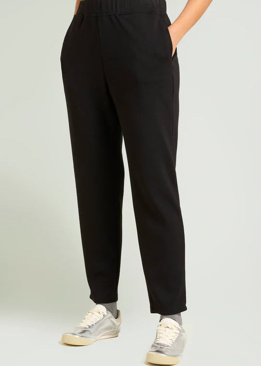 front view of plus size Luisa Viola Scuba Jersey Jogger Pant in Midnight