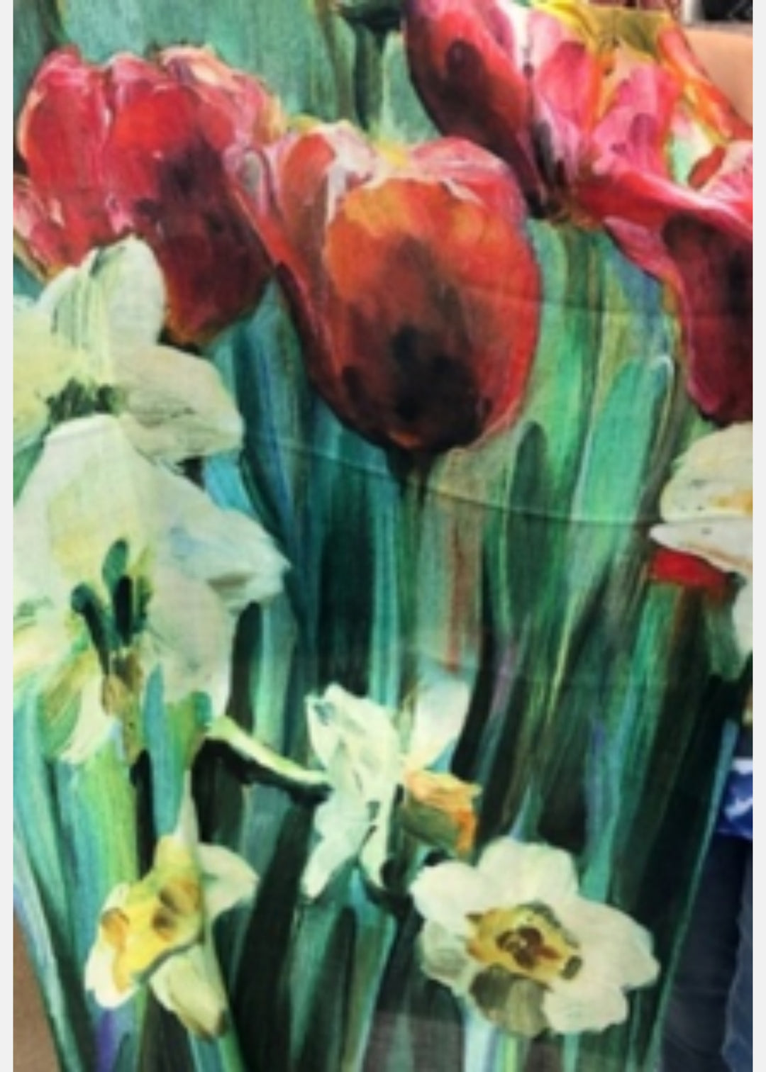 Luv & Co Hand Painted Brush Scarf/Shawl in Green and Red