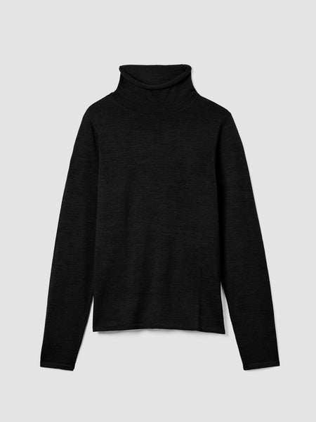 Eileen Fisher Fine Merino Long Sleeve Turtleneck in Black