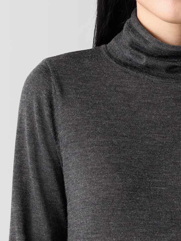 Eileen Fisher Fine Merino Long Sleeve Turtleneck in Charcoal