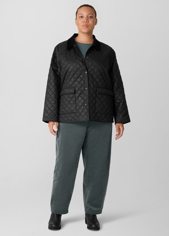front view of plus size Eileen Fisher Eggshell Nylon Classic Collar Jacket W. Cord Collar in Black