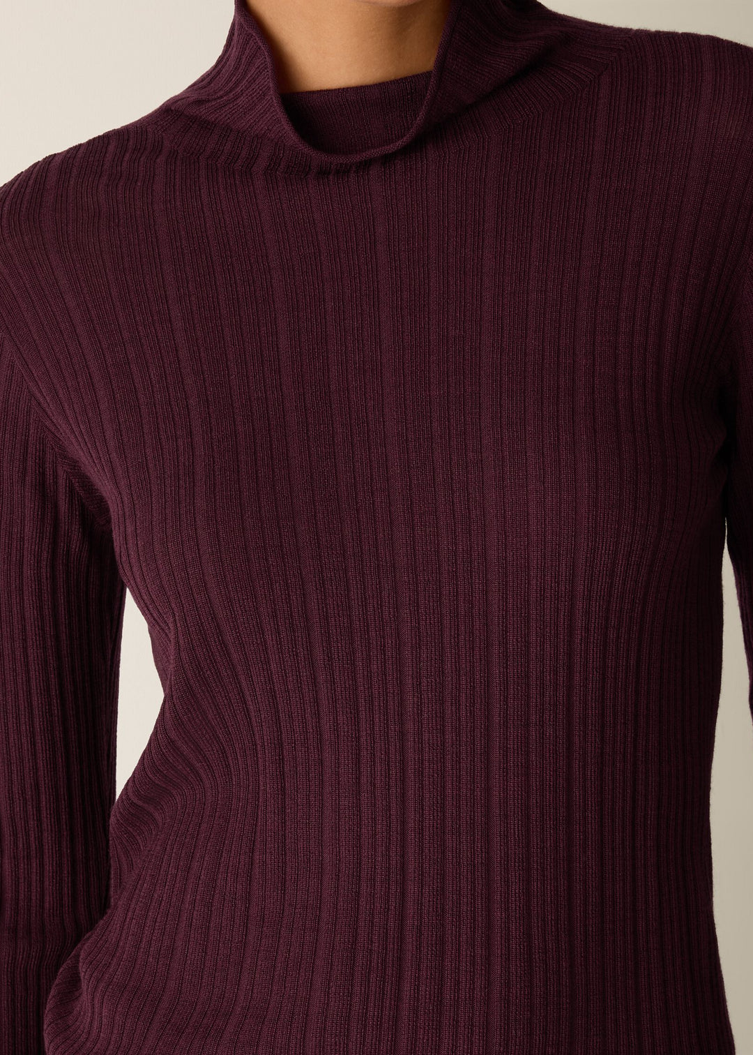 close up Front of plus size Eileen Fisher Superfine Merino Long Sleeve Turtleneck in Wine