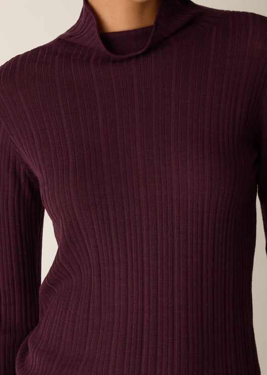 close up Front of plus size Eileen Fisher Superfine Merino Long Sleeve Turtleneck in Wine