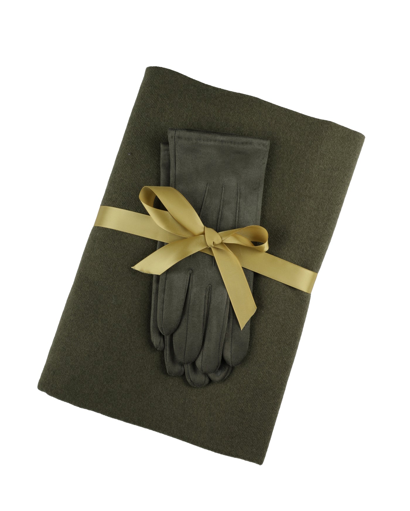 Toni Plus Cashmere Wool Scarf and Faux Suede Stretch Gloves Set In Sage