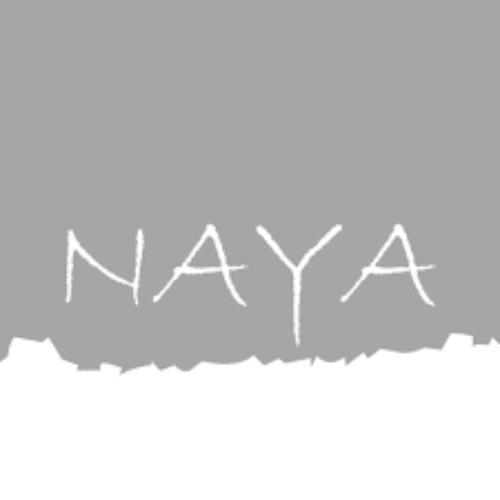 Logo for Naya plus size clothing